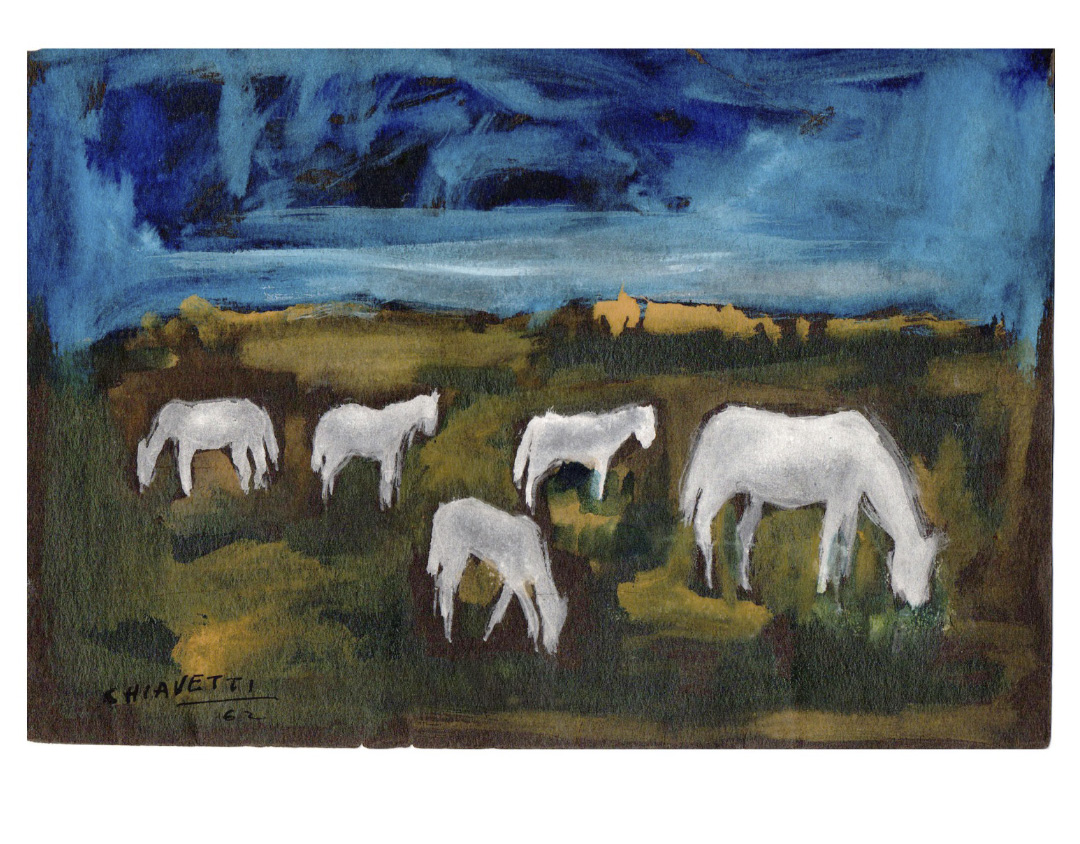 Dibujo Serie Campo